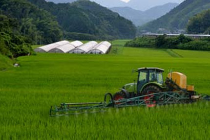 Agriculture